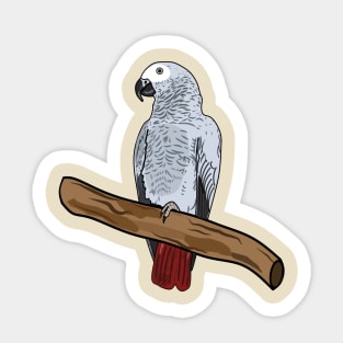 African grey parrot cartoon illustration Sticker